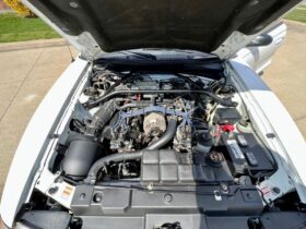1997 Ford Mustang White 4.6l 5 Speed Manual