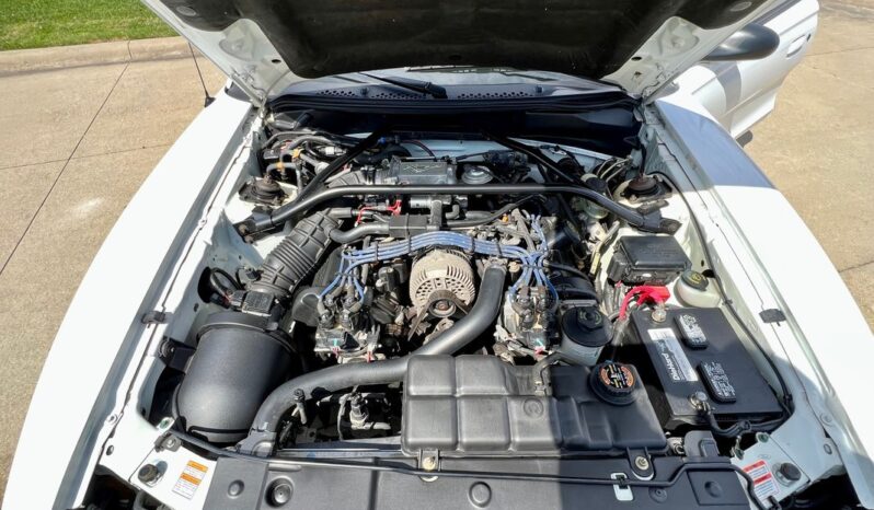 
								1997 Ford Mustang White 4.6l 5 Speed Manual full									