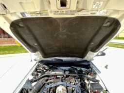 
										1997 Ford Mustang White 4.6l 5 Speed Manual full									