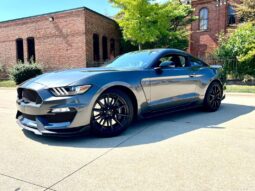 
										2017 Ford Mustang GT350 full									
