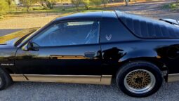 
										1985 Pontiac Firebird Trans Am 5-Speed full									
