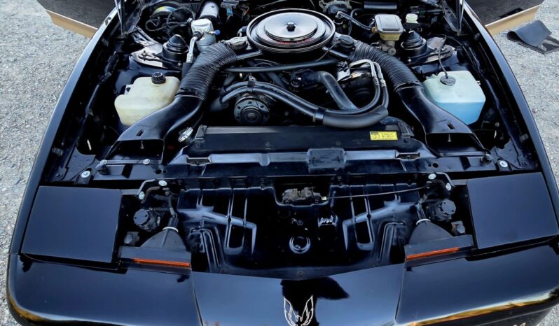 
								1985 Pontiac Firebird Trans Am 5-Speed full									