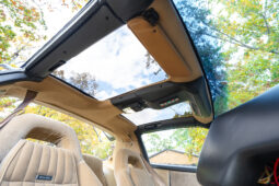 
										1987 Pontiac Firebird Trans Am full									