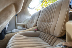 
										1987 Pontiac Firebird Trans Am full									