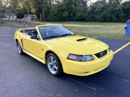 
										2002 Ford Mustang GT Convertible full									
