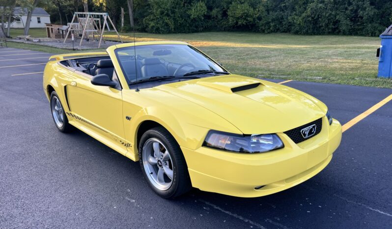 
								2002 Ford Mustang GT Convertible full									