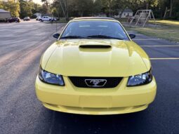 
										2002 Ford Mustang GT Convertible full									