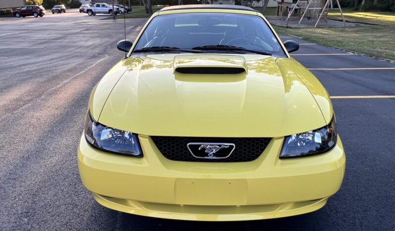 
								2002 Ford Mustang GT Convertible full									