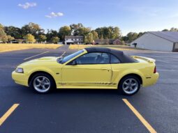 
										2002 Ford Mustang GT Convertible full									