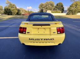 
										2002 Ford Mustang GT Convertible full									