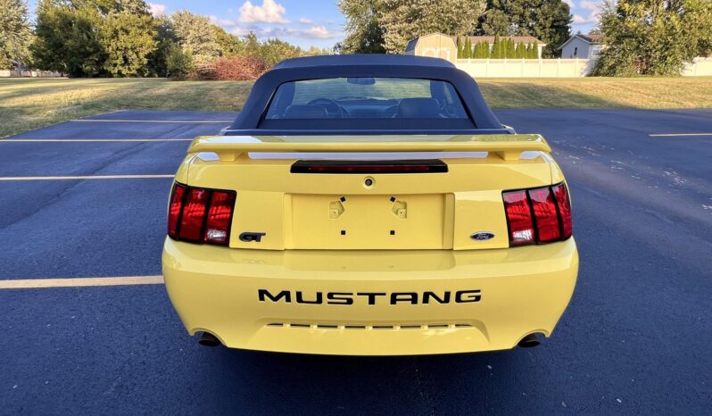 
								2002 Ford Mustang GT Convertible full									