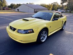 2002 Ford Mustang GT Convertible 2