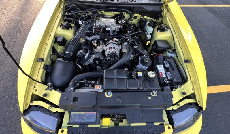 
								2002 Ford Mustang GT Convertible full									