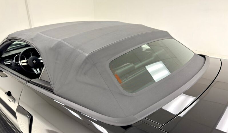 
								2008 Ford Mustang C500 Convertible full									