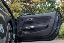 2019 Ford Mustang Bullitt full