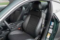 2019 Ford Mustang Bullitt full