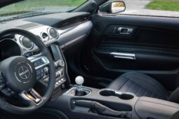 2019 Ford Mustang Bullitt full