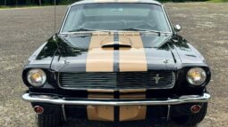 										1965 Ford Mustang Shelby Gt350-h Tribute Fastback full									