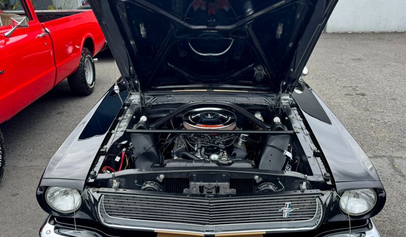								1965 Ford Mustang Shelby Gt350-h Tribute Fastback full									