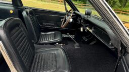 										1965 Ford Mustang Shelby Gt350-h Tribute Fastback full									