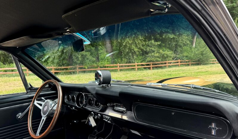 								1965 Ford Mustang Shelby Gt350-h Tribute Fastback full									