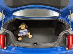 
										2021 Ford Mustang EcoBoost Premium full									