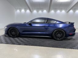 2019 Ford Mustang GT 5.0L V8 2