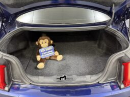 
										2019 Ford Mustang GT 5.0L V8 full									