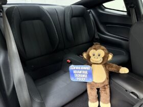 2019 Ford Mustang GT 5.0L V8