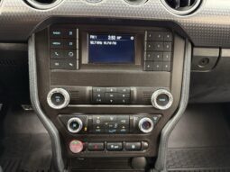 
										2019 Ford Mustang GT 5.0L V8 full									