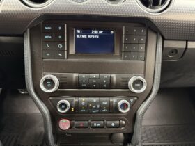 2019 Ford Mustang GT 5.0L V8