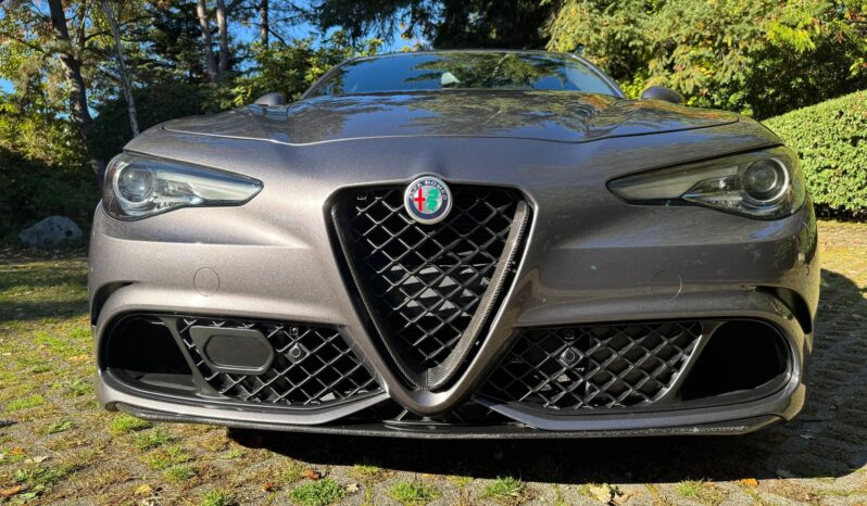 
								2018 Alfa Romeo Giulia Quadrifoglio full									