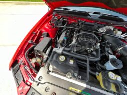 
										2009 Ford Mustang Shelby GT500 Coupe full									