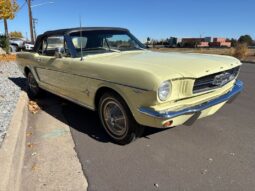 
										1965 Ford Mustang Convertible full									