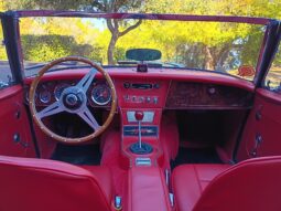 
										1967 Austin-Healey 3000 BJ8 Mk III full									