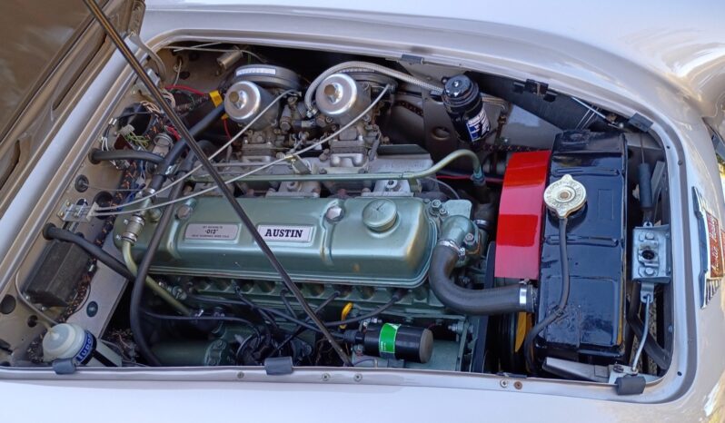 
								1967 Austin-Healey 3000 BJ8 Mk III full									