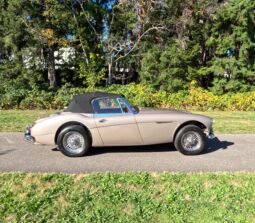 1967 Austin-Healey 3000 BJ8 Mk III 2