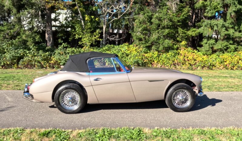 1967 Austin-Healey 3000 BJ8 Mk III 1