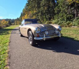 
										1967 Austin-Healey 3000 BJ8 Mk III full									
