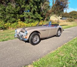 
										1967 Austin-Healey 3000 BJ8 Mk III full									