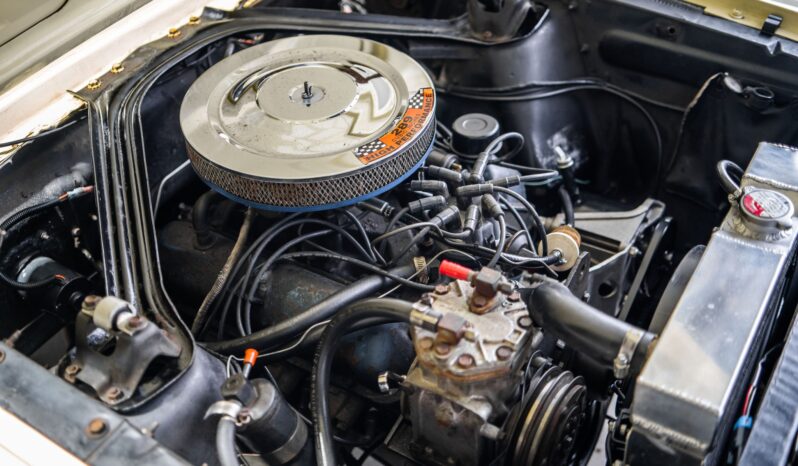 
								1966 Ford Mustang Convertible 289 full									