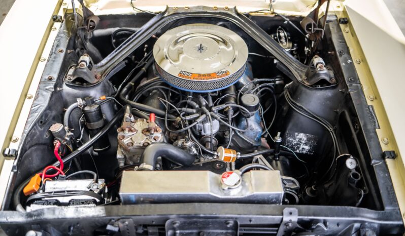 
								1966 Ford Mustang Convertible 289 full									