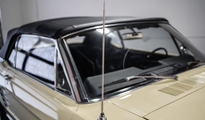 
								1966 Ford Mustang Convertible 289 full									