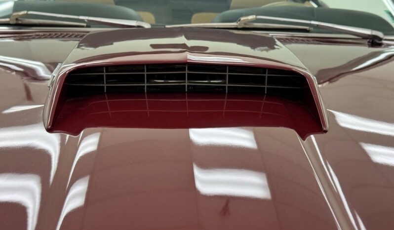 								1969 Ford Mustang Convertible 351ci Windsor V8 full									