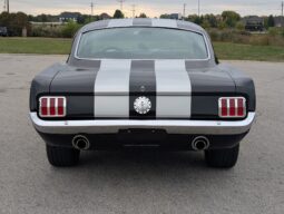 
										1965 Ford Mustang A-Code Fastback 2+2 full									