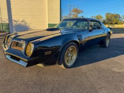 1976 Pontiac Firebird Trans Am full