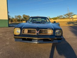 1976 Pontiac Firebird Trans Am full