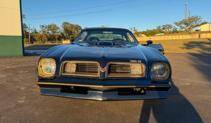 								1976 Pontiac Firebird Trans Am full									