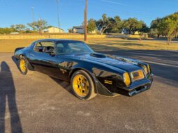 1976 Pontiac Firebird Trans Am full