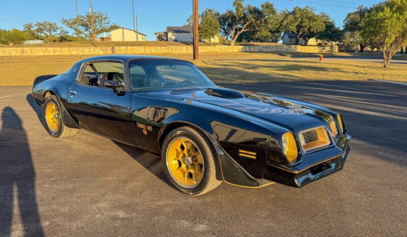 								1976 Pontiac Firebird Trans Am full									